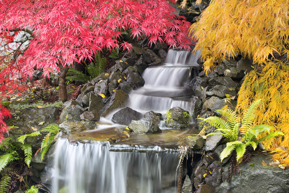 shutterstock_117069922