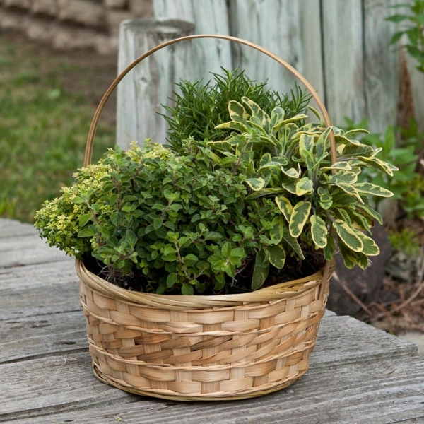 Basket Herb Garden